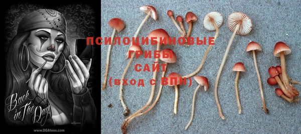 кокаин колумбия Аркадак