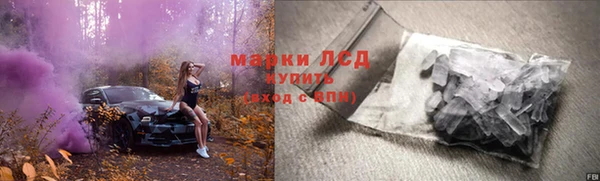 сатива Армянск