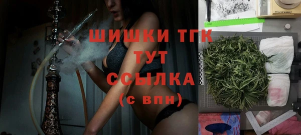 сатива Армянск