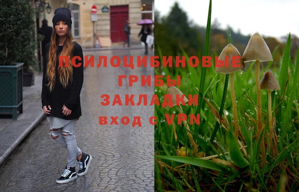 гашиш Абаза