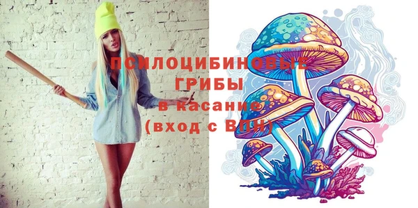 PSILOCYBIN Арсеньев