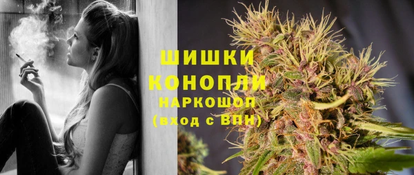 сатива Армянск
