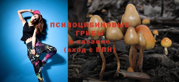 PSILOCYBIN Арсеньев