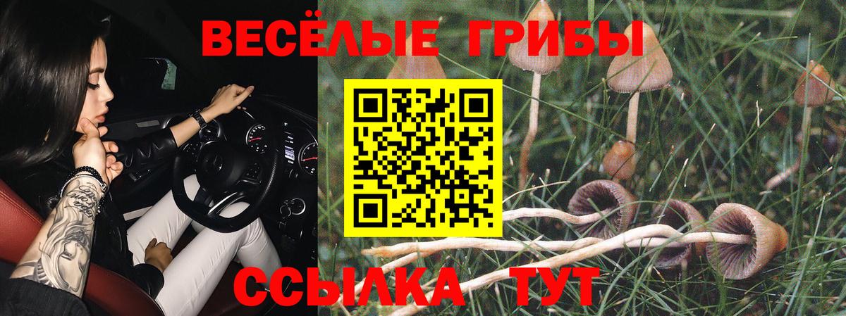 Северодвинск  Псилоцибиновые грибы прущие грибы  Вход с VPN  закладки  Псилоцибиновые грибы GOLDEN TEACHER 